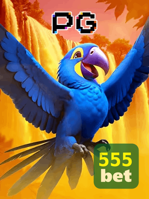 555BET bônus — cashback 15 por cento e níveis VIP